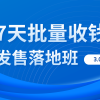 7天批量收钱发售落地班3.0