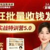 批量收钱发售实战特训5.0